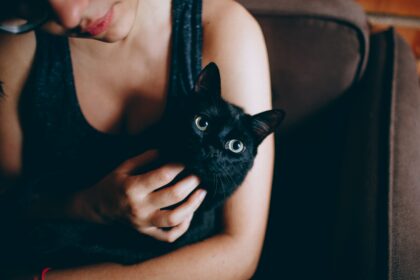 prénom chat noir : trouvez le prénom idéal pour votre chat noir
